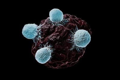 Cellular Therapies Attack